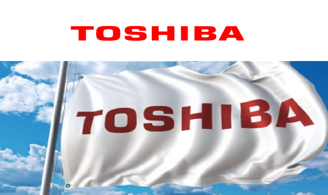 İzmir Narlıdere Toshiba Kombi Klima Servisi